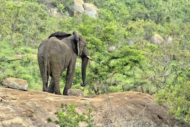 Burundi Safaris