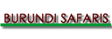 Burundi safaris