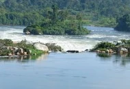 Kibira National Park