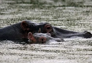 Rusizi National Park